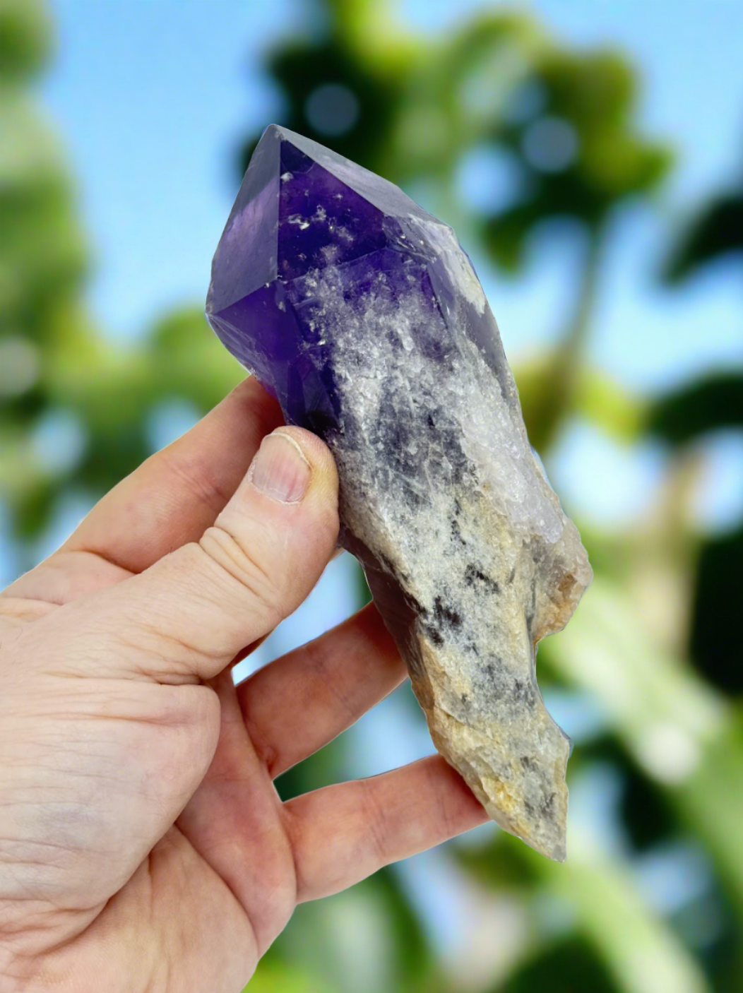 Amethyst Wand/Roots