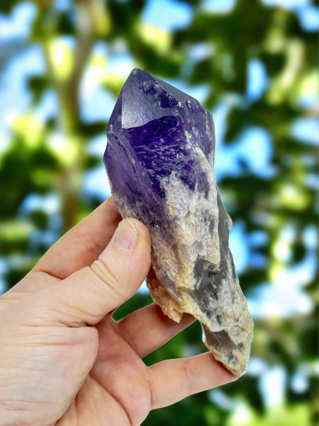 Amethyst Wand/Roots
