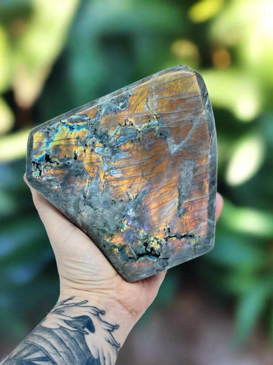 Labradorite Free Form