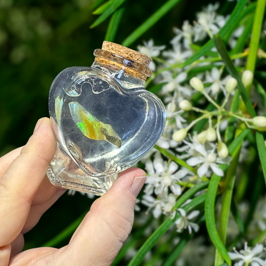 Heart Shaped - Opal Jar