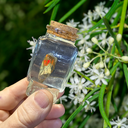 Heart Shaped - Opal Jar