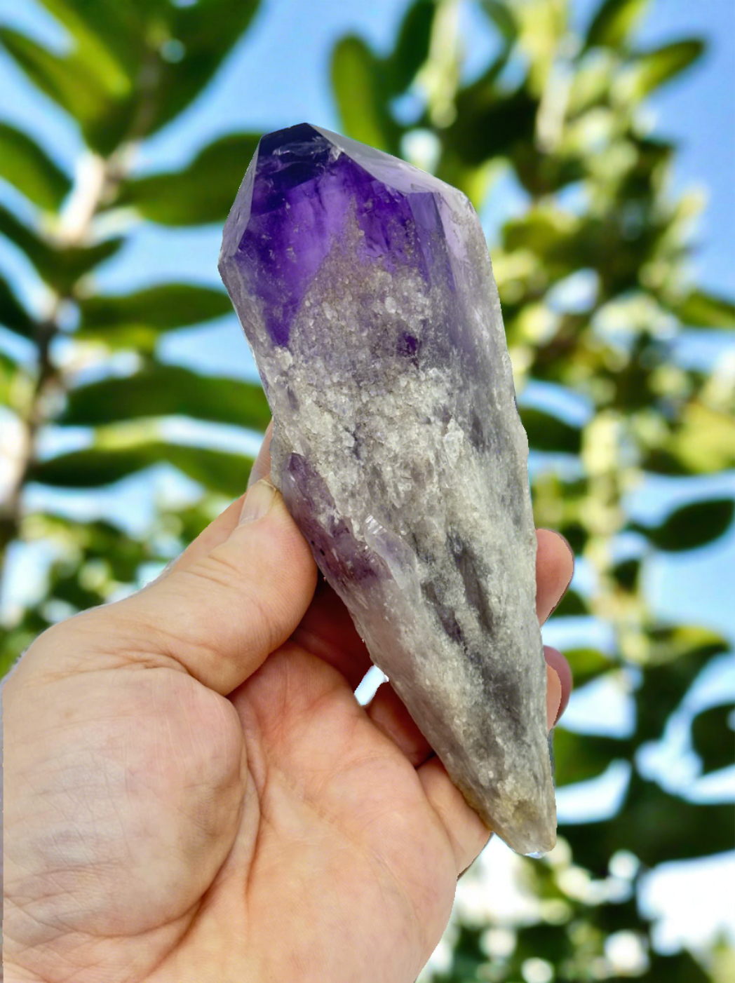 Amethyst Wand/Roots