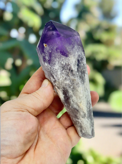 Amethyst Wand/Roots