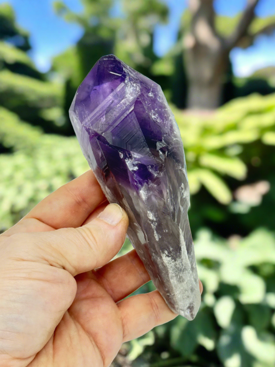 Amethyst Wand/Roots