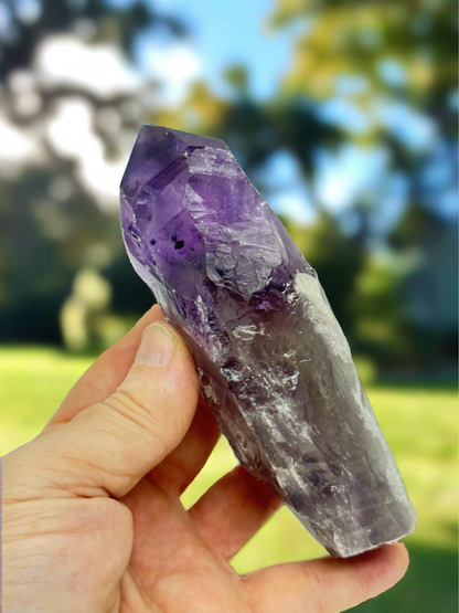 Amethyst Wand/Roots