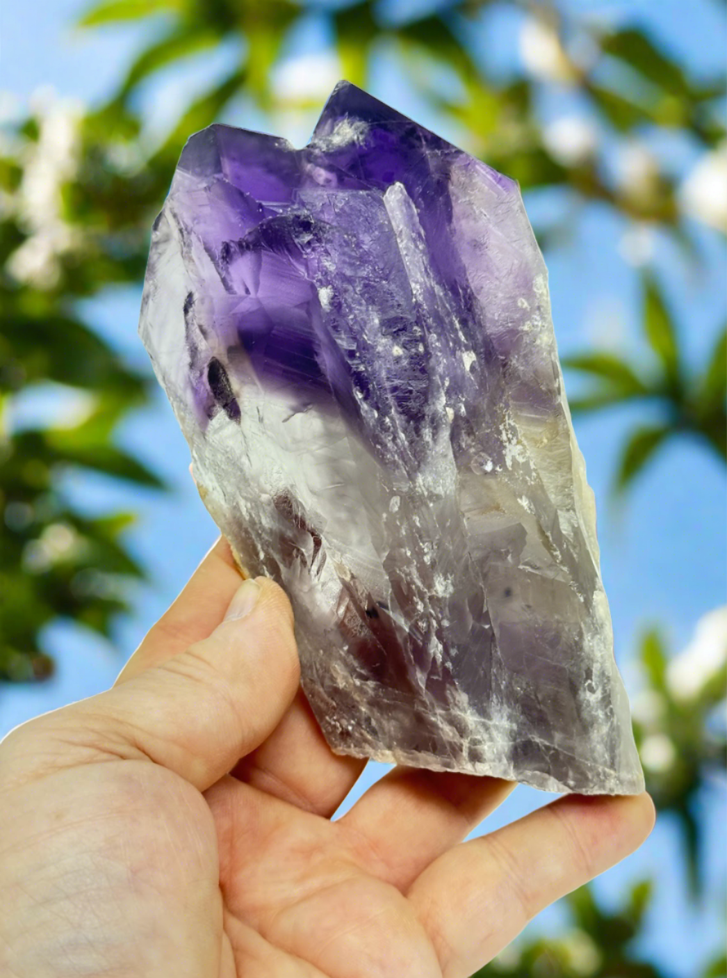 Amethyst Wand/Roots