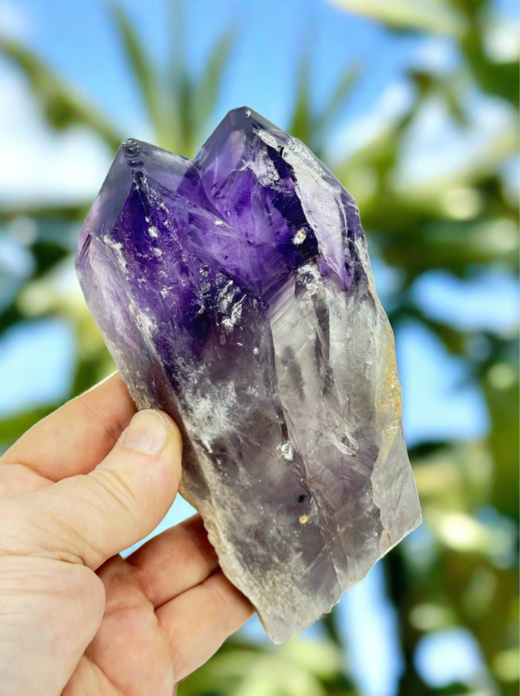 Amethyst Wand/Roots