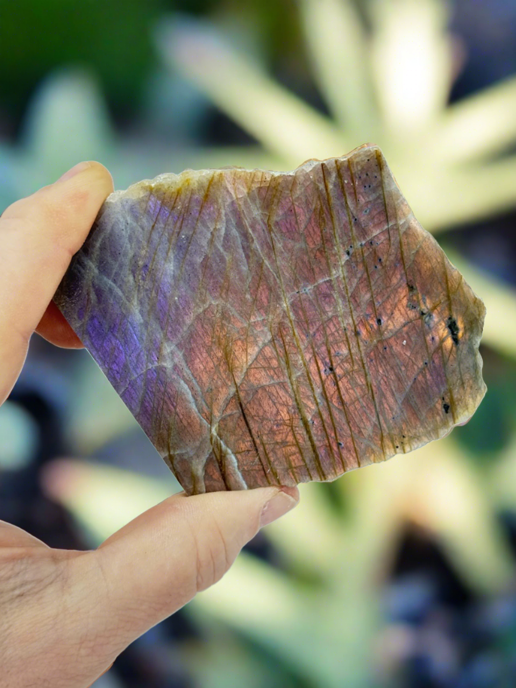 Labradorite Slab