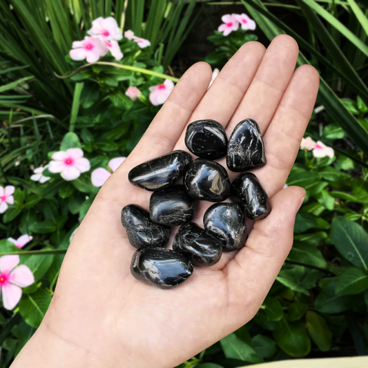 Black Tourmaline Tumbles