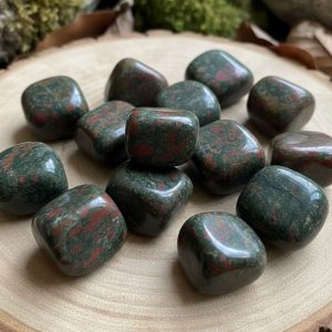 Dragon Bloodstone Jasper Tumbles