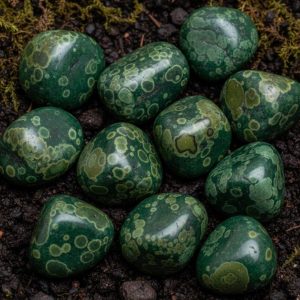 Kambaba Jasper Tumbles